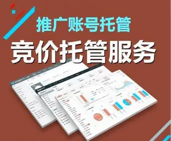 湖北竞价托管 湖北竞价托管