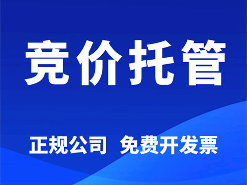 南阳市sem竞价托管 南阳市sem竞价托管